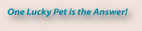 one lucky pet